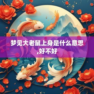 梦见大老鼠上身是什么意思,好不好