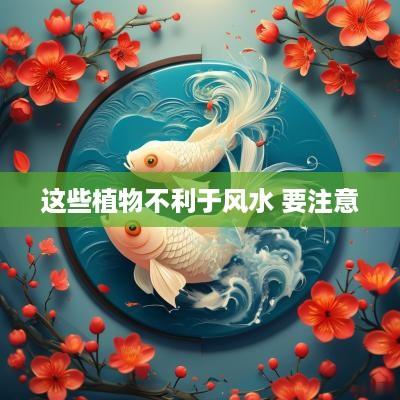 这些植物不利于风水 要注意