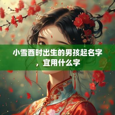 小雪酉时出生的男孩起名字，宜用什么字