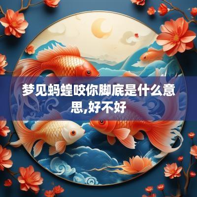 梦见蚂蝗咬你脚底是什么意思,好不好