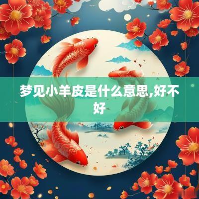 梦见小羊皮是什么意思,好不好