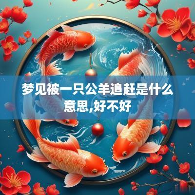 梦见被一只公羊追赶是什么意思,好不好