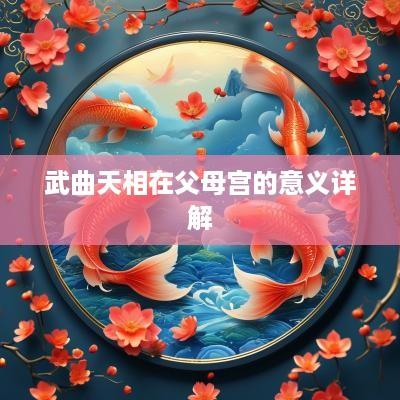 武曲天相在父母宫的意义详解