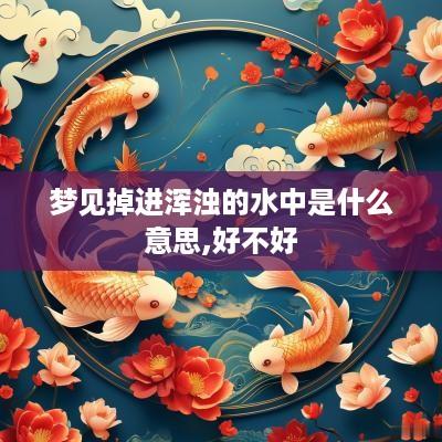 梦见掉进浑浊的水中是什么意思,好不好