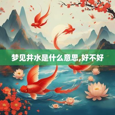 梦见井水是什么意思,好不好