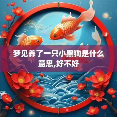 梦见养了一只小黑狗是什么意思,好不好