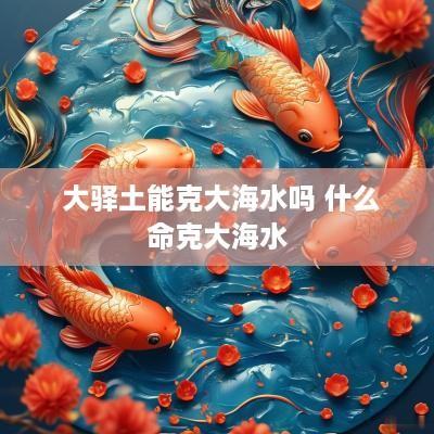  大驿土能克大海水吗 什么命克大海水