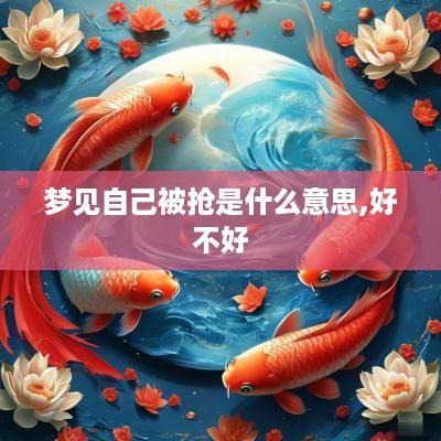 梦见自己被抢是什么意思,好不好