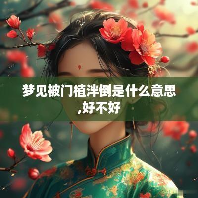 梦见被门植泮倒是什么意思,好不好