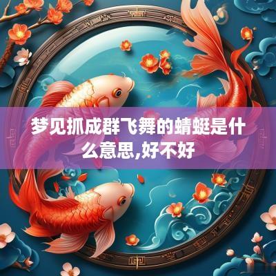 梦见抓成群飞舞的蜻蜓是什么意思,好不好