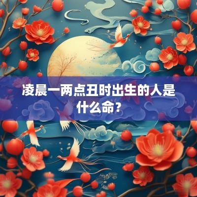 凌晨一两点丑时出生的人是什么命？