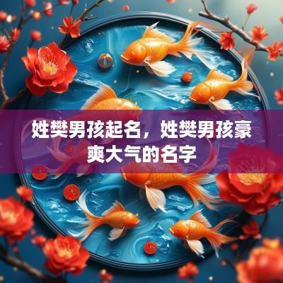 姓樊男孩起名，姓樊男孩豪爽大气的名字