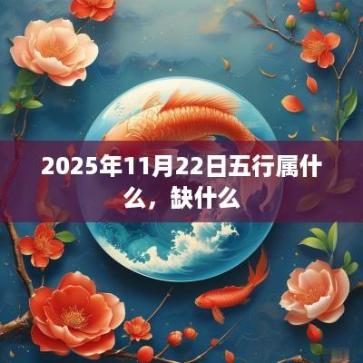 2025年11月22日五行属什么，缺什么