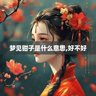 梦见钳子是什么意思,好不好