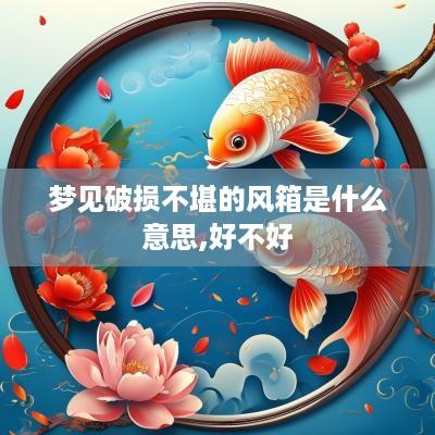 梦见破损不堪的风箱是什么意思,好不好