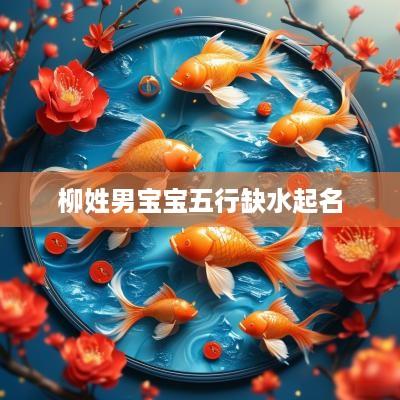 柳姓男宝宝五行缺水起名