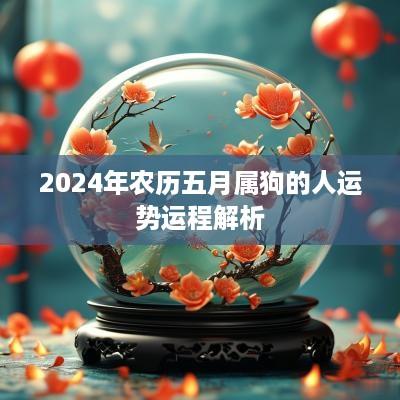 2025年农历五月属狗的人运势运程解析