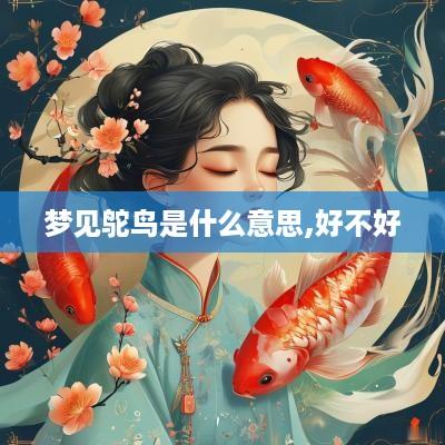 梦见鸵鸟是什么意思,好不好