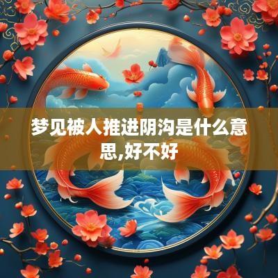 梦见被人推进阴沟是什么意思,好不好