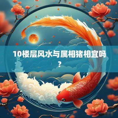 10楼层风水与属相猪相宜吗？