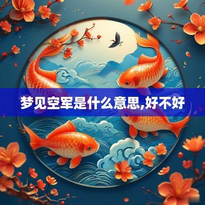 梦见空军是什么意思,好不好