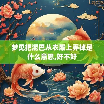 梦见把泥巴从衣服上弄掉是什么意思,好不好