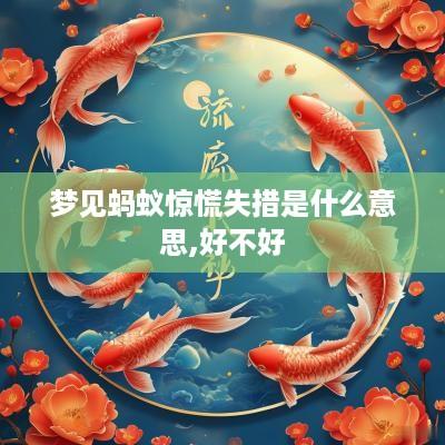 梦见蚂蚁惊慌失措是什么意思,好不好