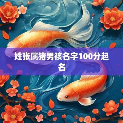 姓张属猪男孩名字100分起名