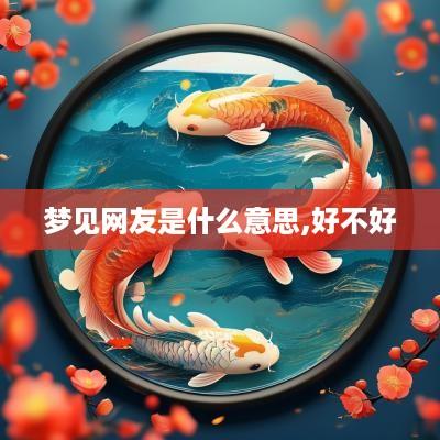 梦见网友是什么意思,好不好