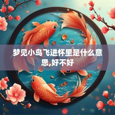 梦见小鸟飞进怀里是什么意思,好不好