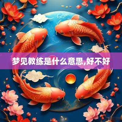 梦见教练是什么意思,好不好