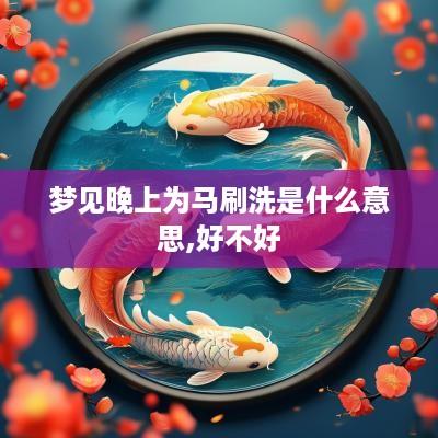 梦见晚上为马刷洗是什么意思,好不好