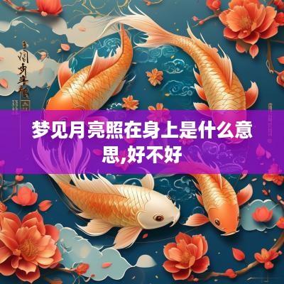 梦见月亮照在身上是什么意思,好不好