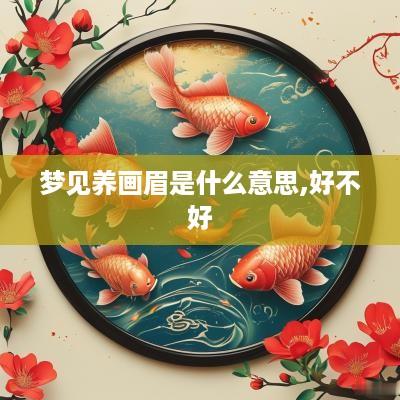 梦见养画眉是什么意思,好不好