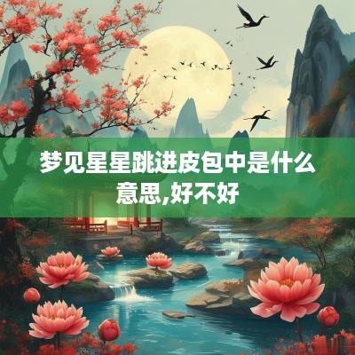 梦见星星跳进皮包中是什么意思,好不好