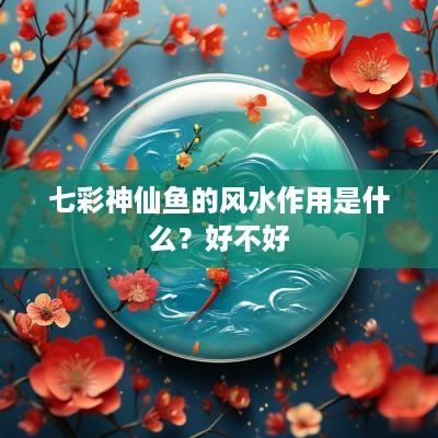 七彩神仙鱼的风水作用是什么？好不好