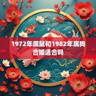 1972年属鼠和1982年属狗合婚适合吗