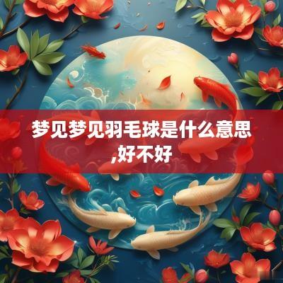 梦见梦见羽毛球是什么意思,好不好