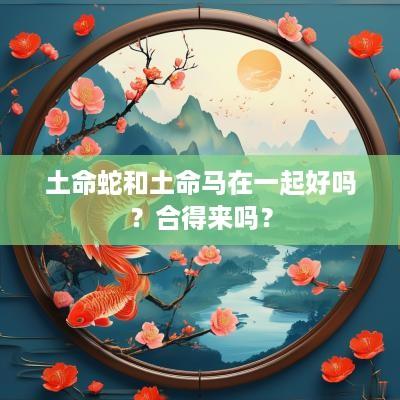土命蛇和土命马在一起好吗？合得来吗？