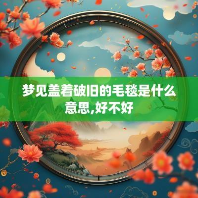梦见盖着破旧的毛毯是什么意思,好不好