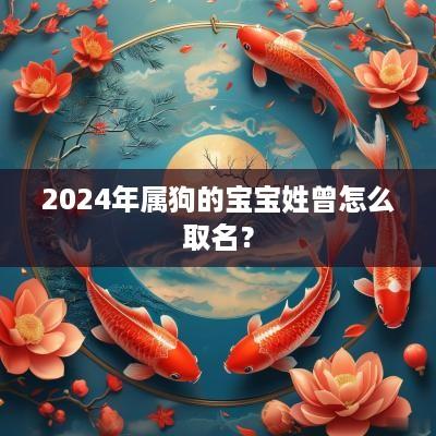 2025年属狗的宝宝姓曾怎么取名？