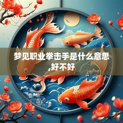 梦见职业拳击手是什么意思,好不好