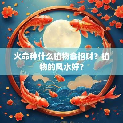 火命种什么植物会招财？植物的风水好？