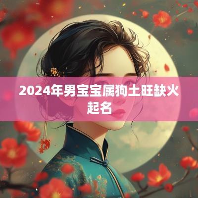 2025年男宝宝属狗土旺缺火起名