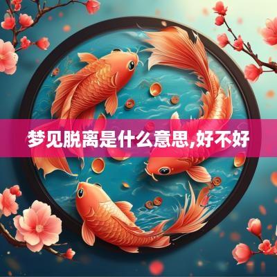 梦见脱离是什么意思,好不好