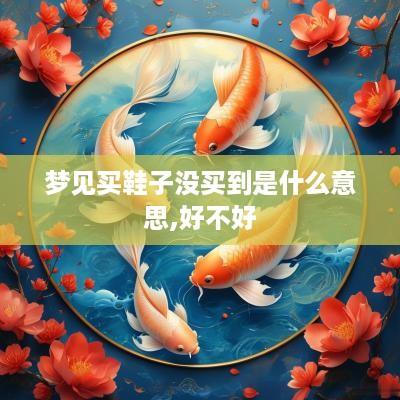 梦见买鞋子没买到是什么意思,好不好