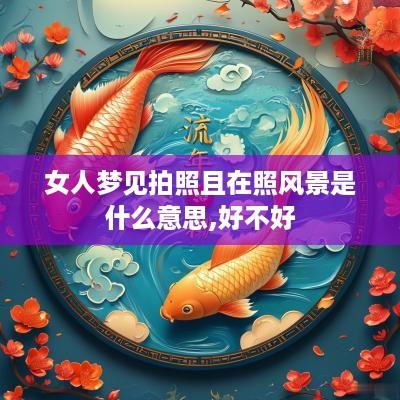 女人梦见拍照且在照风景是什么意思,好不好