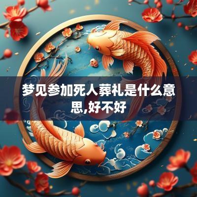 梦见参加死人葬礼是什么意思,好不好