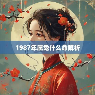 1987年属兔什么命解析