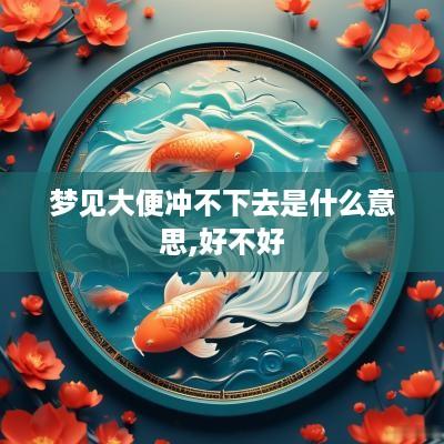 梦见大便冲不下去是什么意思,好不好